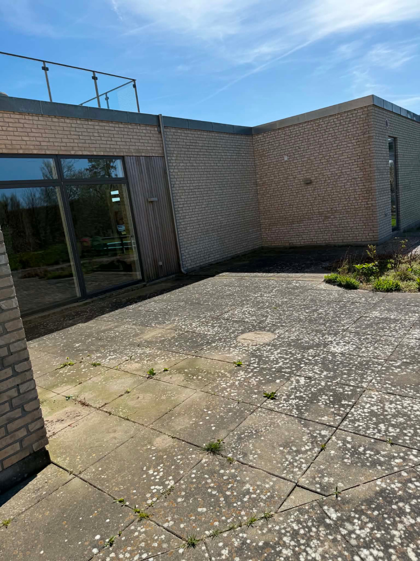Misfarvet terrasse med mos og belægninger