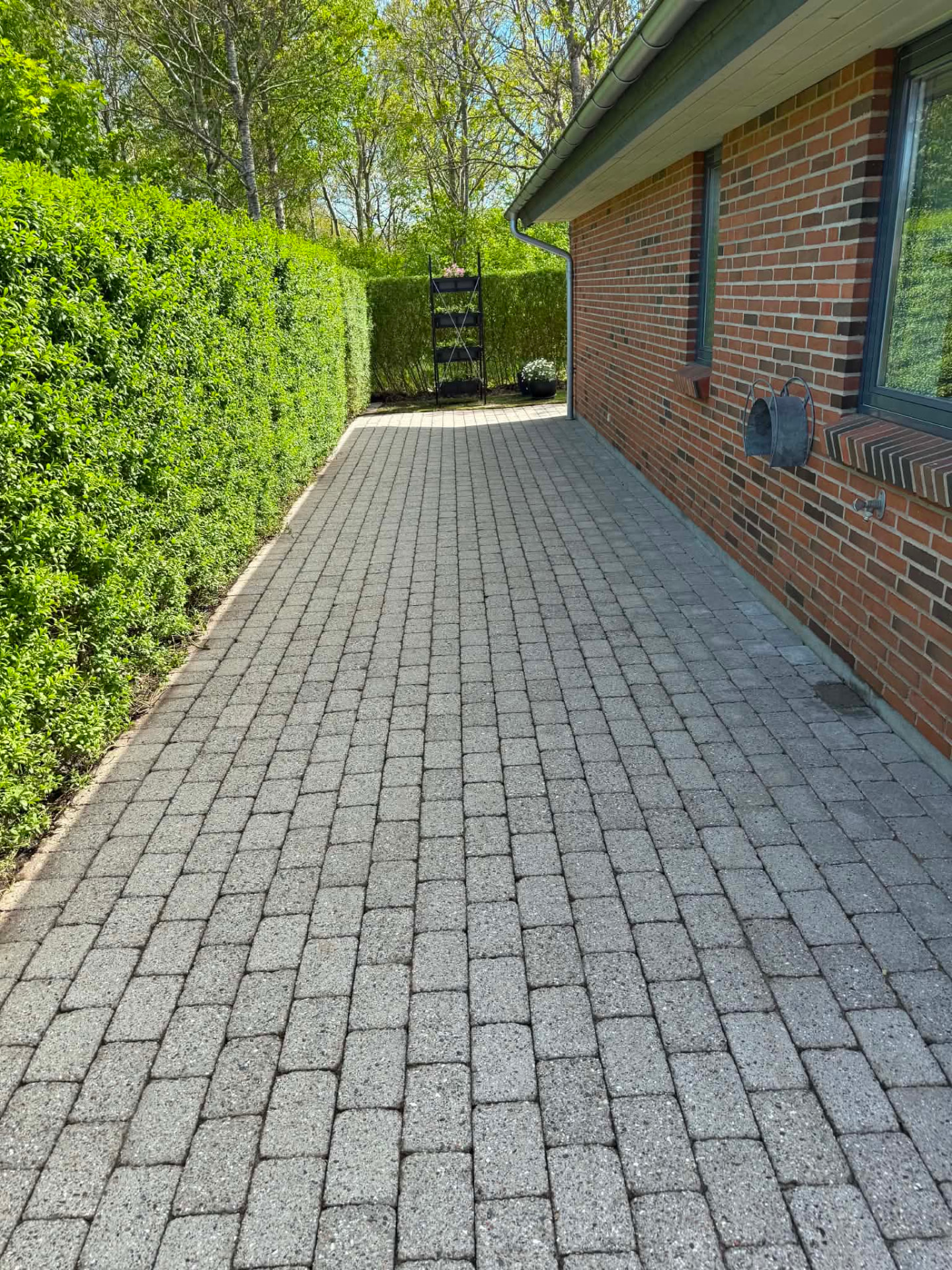 Tagrens & algebehandling – resultat efter behandling